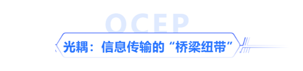 云开体育app官方